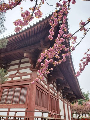 花有重開日，人無再少年！