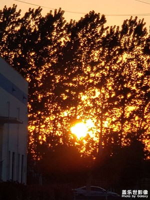 夕陽(yáng)