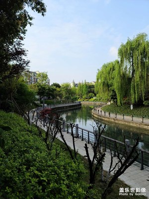 ＃星鮮創(chuàng)造營＃森林健康之路