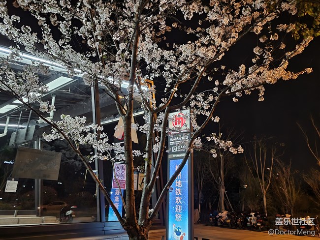 【Galaxy S21系列星粉體驗團】面面俱到的大杯旗艦，S21+評測