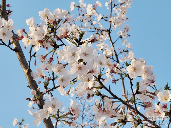 【Galaxy S21系列星粉體驗團】面面俱到的大杯旗艦，S21+評測