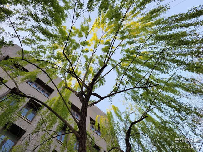 【Galaxy S21系列星粉體驗團】面面俱到的大杯旗艦，S21+評測