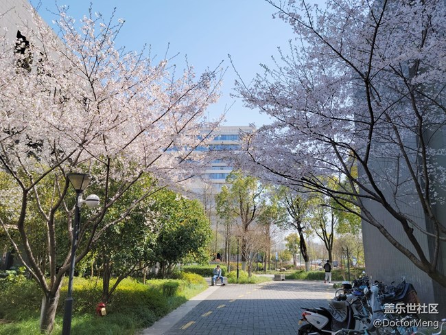 【Galaxy S21系列星粉體驗團】面面俱到的大杯旗艦，S21+評測