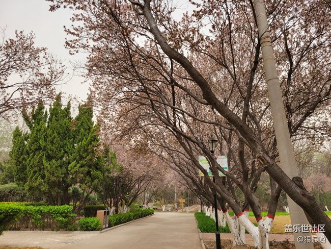 Galaxy S21+傾心締造高光時(shí)刻