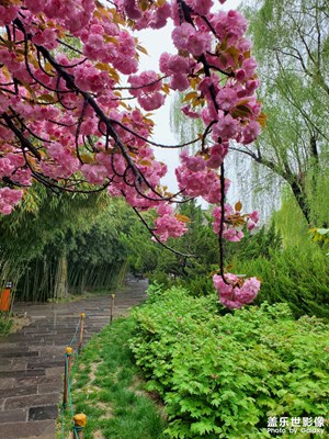 走著走著花就開(kāi)了