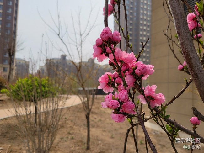 Galaxy S21+傾心締造高光時(shí)刻