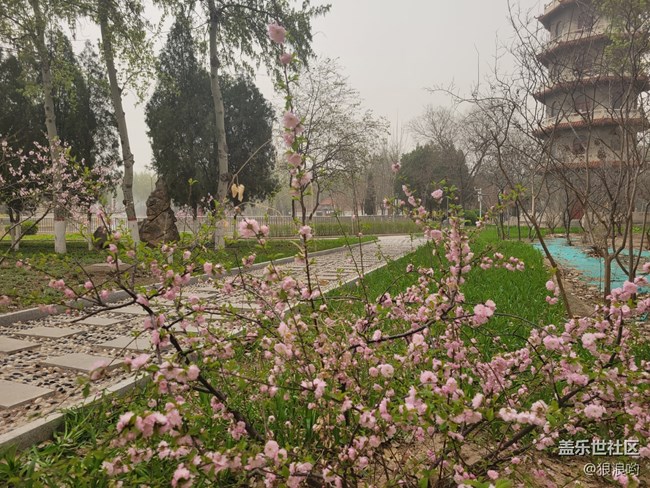 Galaxy S21+傾心締造高光時(shí)刻