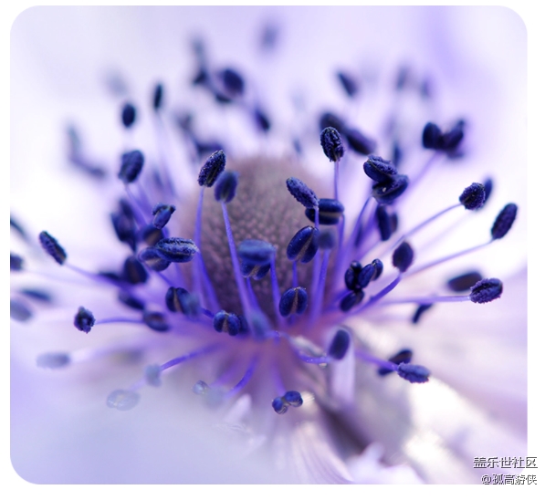 已開獎四月第一期A板塊活動——微距世界 已開獎四月第一期A板塊活動——微距世界