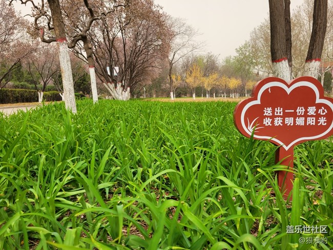 Galaxy S21+傾心締造高光時(shí)刻