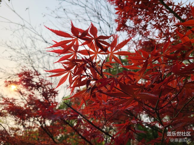 【Galaxy S21系列星粉體驗團】購買大杯S21+旗艦的幾大理由 【Galaxy S21系列星粉體驗團】購買大杯S21+旗艦的幾大理由