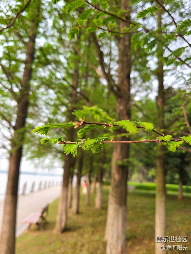 【Galaxy S21系列星粉體驗團】購買大杯S21+旗艦的幾大理由 【Galaxy S21系列星粉體驗團】購買大杯S21+旗艦的幾大理由