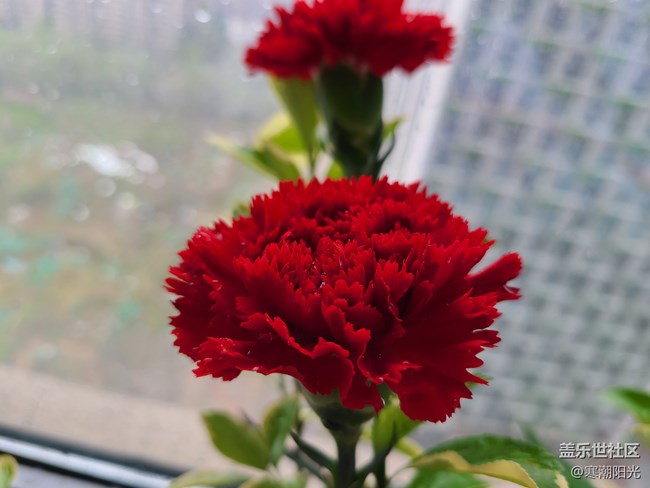 【Galaxy S21系列星粉體驗團】購買大杯S21+旗艦的幾大理由 【Galaxy S21系列星粉體驗團】購買大杯S21+旗艦的幾大理由