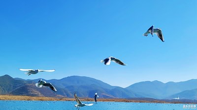 【百變天氣】+藍(lán)藍(lán)的天，藍(lán)藍(lán)的夢(mèng)