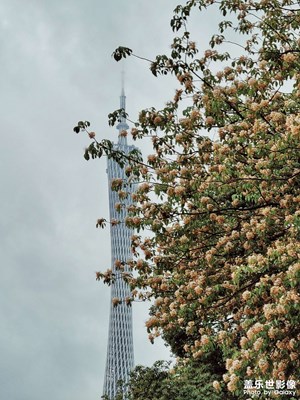 晨跑隨手拍