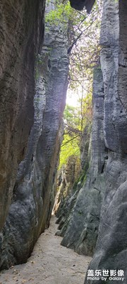 貴州