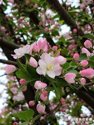萬物復(fù)蘇
