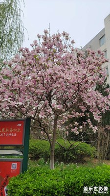 小區(qū)一角