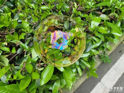 夢(mèng)幻泡影