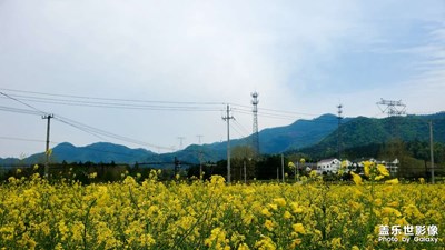 踏春