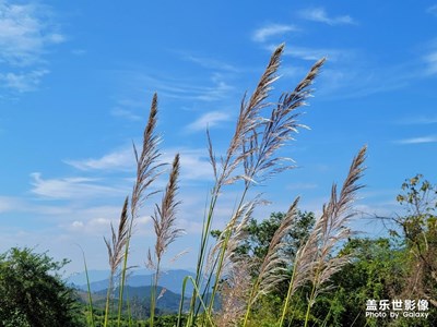 【百變天氣】+風(fēng)云變幻