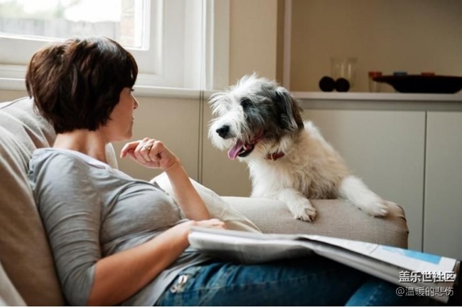 已開獎(jiǎng)【寵物4月第二期】你養(yǎng)過最難忘的寵物是什么？