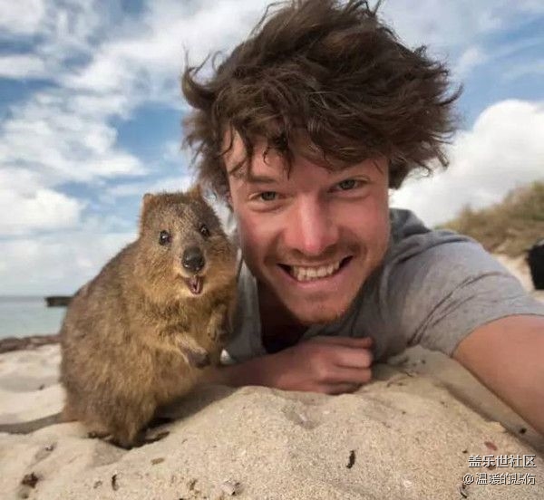 已開獎(jiǎng)【寵物4月第二期】你養(yǎng)過最難忘的寵物是什么？