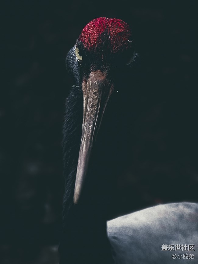 【Galaxy S21系列星粉體驗(yàn)團(tuán)】真旗艦，超越你想象！