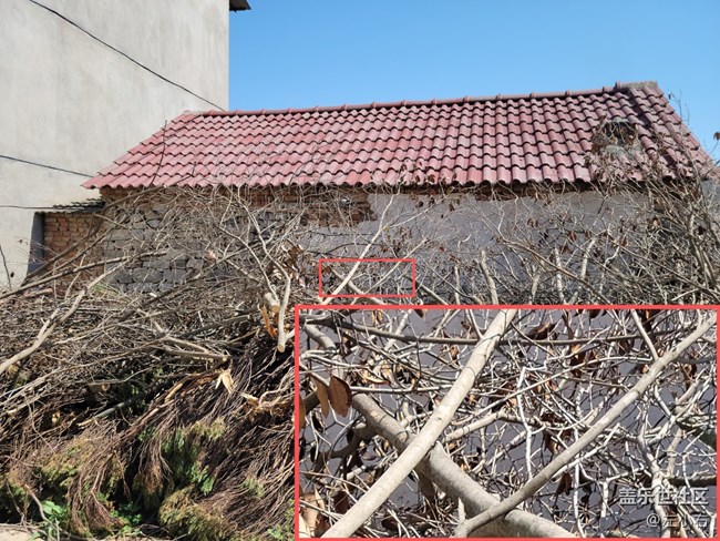 三星S21+ 大杯旗艦星體驗 三星S21+ 大杯旗艦星體驗