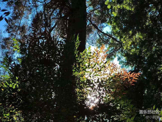 【Galaxy S21系列星粉體驗(yàn)團(tuán)】真旗艦，超越你想象！