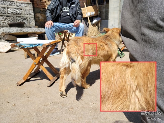 三星S21+ 大杯旗艦星體驗 三星S21+ 大杯旗艦星體驗