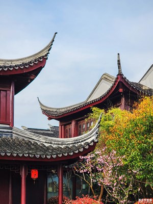 【角度與視覺 】+斜塘一角