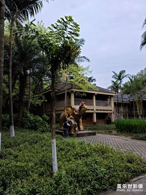 城市公園一角
