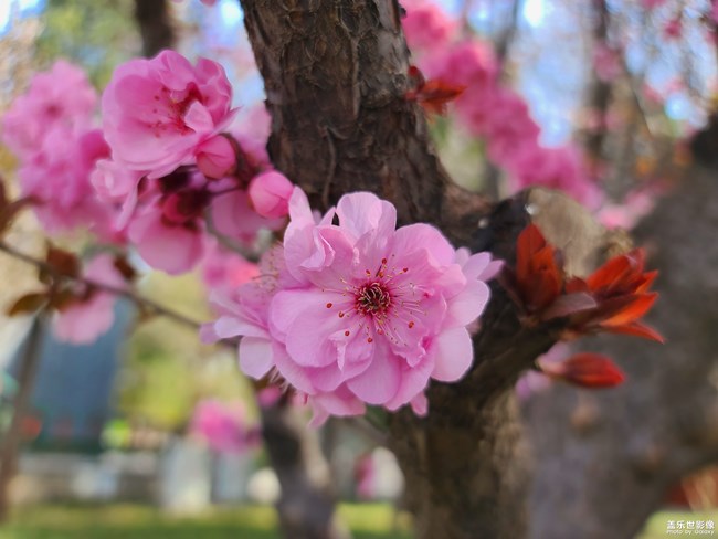 《每周星鮮事》 第61期