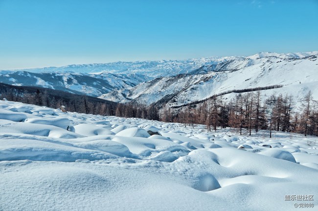 新疆探寻雪缘之旅VLOG 可可托海爽滑的那些天