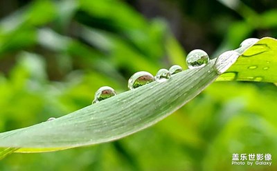 山間雨露