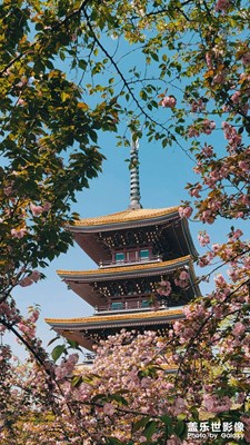 隨拍