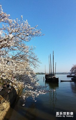 [角度與視覺(jué)]+春到太湖