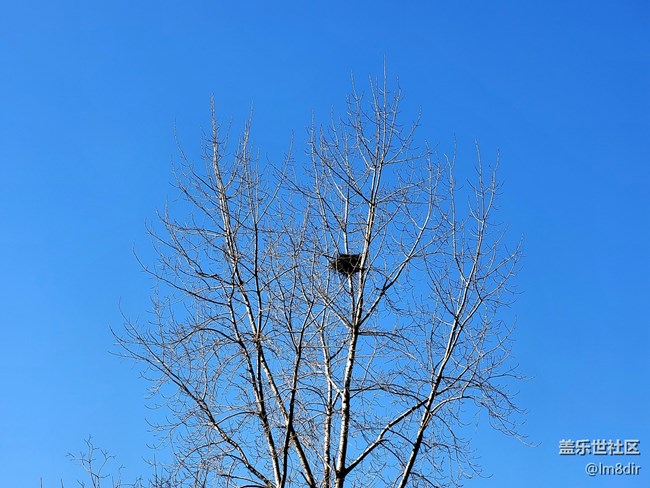 【Galaxy S21系列星粉體驗(yàn)團(tuán)】實(shí)力不俗，更愛顏值!