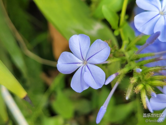 【Galaxy S21系列星粉體驗團】S21+上手體驗