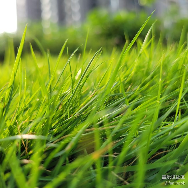 【Galaxy S21系列星粉體驗團】S21+上手體驗