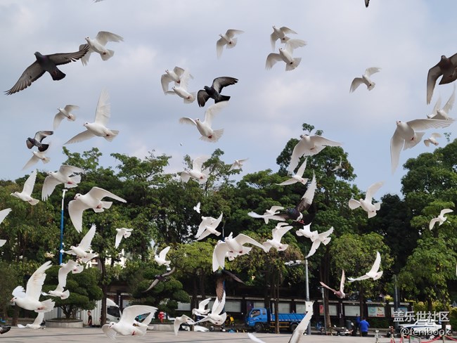 【Galaxy S21系列星粉體驗團】S21+上手體驗