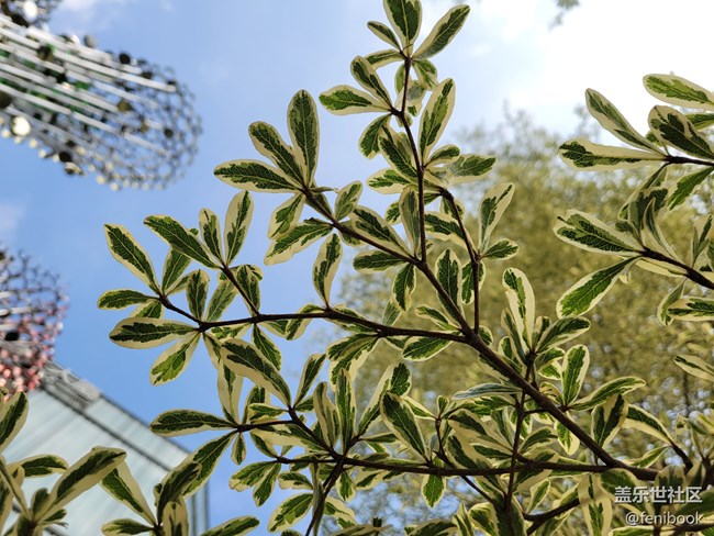 【Galaxy S21系列星粉體驗團】S21+上手體驗