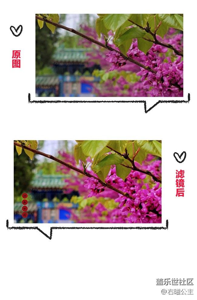 如何讓你的照片更有韻味？Galaxy S21 Ultra 5G給出的答案