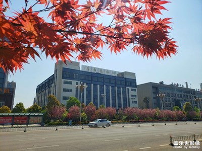 紅葉
