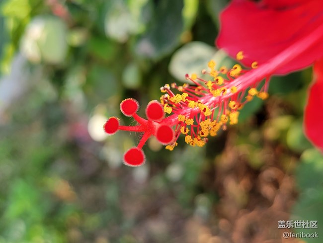 【Galaxy S21系列星粉體驗團】S21+上手體驗