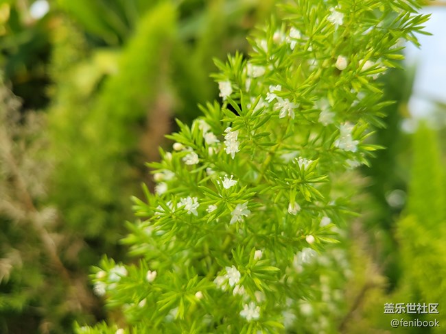 【Galaxy S21系列星粉體驗團】S21+上手體驗