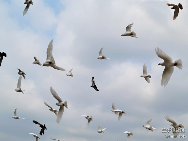 【Galaxy S21系列星粉體驗團】S21+上手體驗