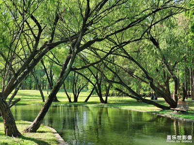 【霸屏朋友圈】+高點贊率合集