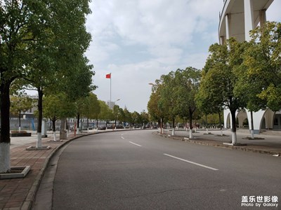 隨手拍