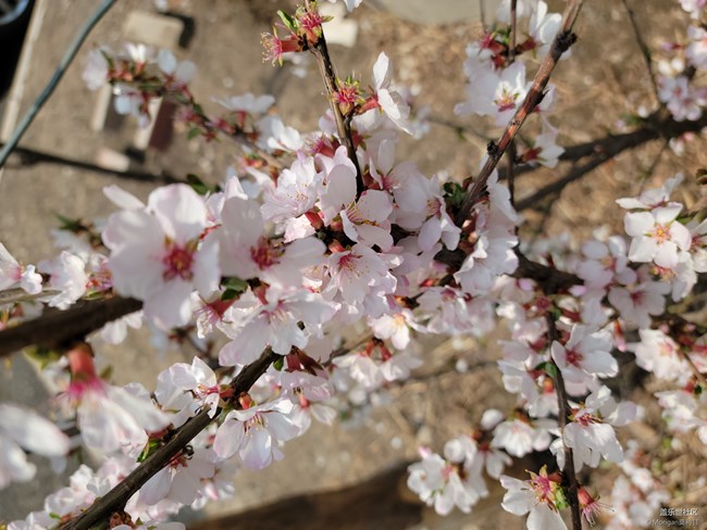 【Galaxy S21系列星粉體驗(yàn)團(tuán)】超越想象 有所不凡